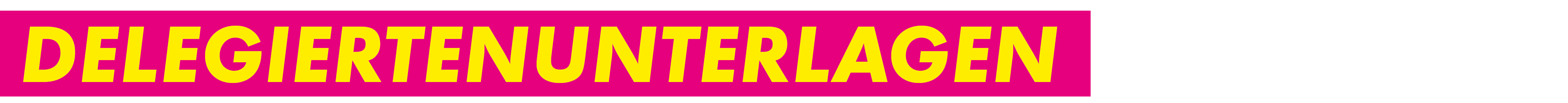 Delegiertenunterlagen